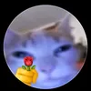 ovuvuevuevue.osas01