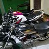 japonkdepokkingclub