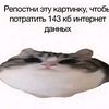 repostni_ety_kartinky