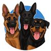 The German Paw Squad