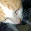 .fennnnnnnnnnnnn