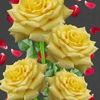 md.ridoy.khan187