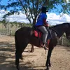 lucksantos133