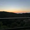 maialarion