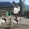 lasaritaw23