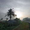 yusuf_zamzam
