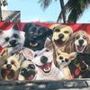 loveforanimals389