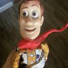 woody_1fan