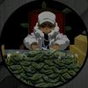 randomboy803