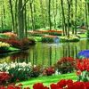 abeelhamid.marzou