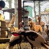 legendaryacreshobbyfarm