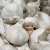 tilliti9