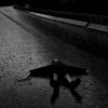 silvi_1894