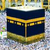 user4961522210982