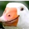 kebabbiccante
