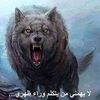 user72172941285811