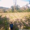 VIAN 132