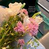 shaza_nalir06