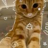 hashiro_shota