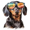 ilove.dachshund