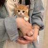 anika_tasnim001