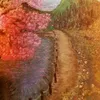 baraswotnf8