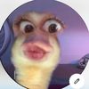 user26962100632414