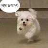sua_jung2