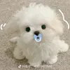 mwcgnmvhkjy