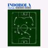 INDONESIAN FOOTBALL