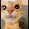 florencecandle_4