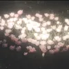 .2kci301
