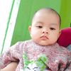 zia.selvi