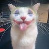 farel_namaku