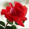 user162614051