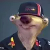 drakes_balls69