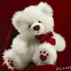 user1302631613435