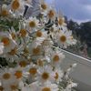 noor_3110._