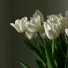 userjnoa009
