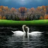 ahmed.lachab