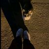 nourmorgan7