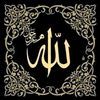 quranlym