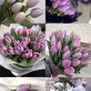 naoxinhthidoiten04