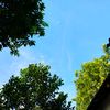 afroza_begum97