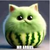 mezyagd