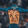 daniunited7