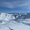 pelle_755