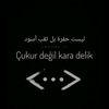 nslslvqsii3