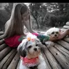 girlainepimenta