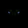 kemal_b02